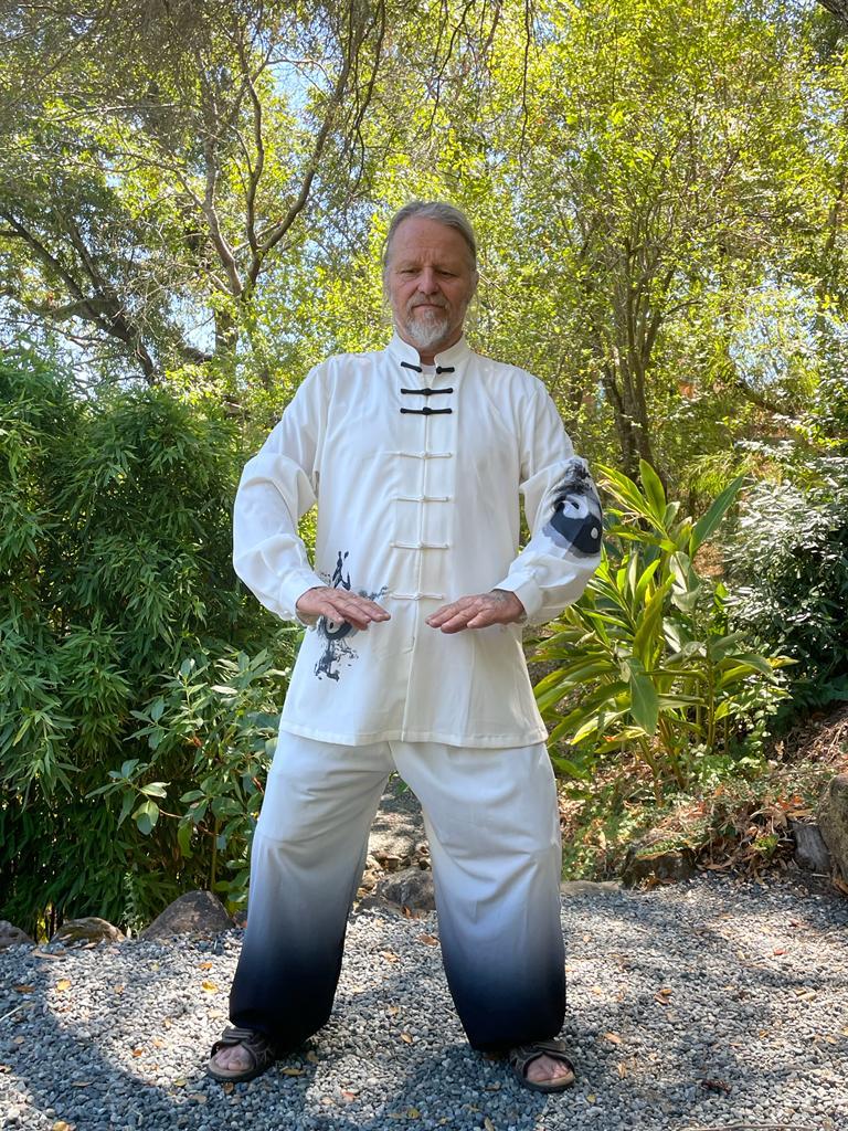 Healing Qigong Webinar - Image 4