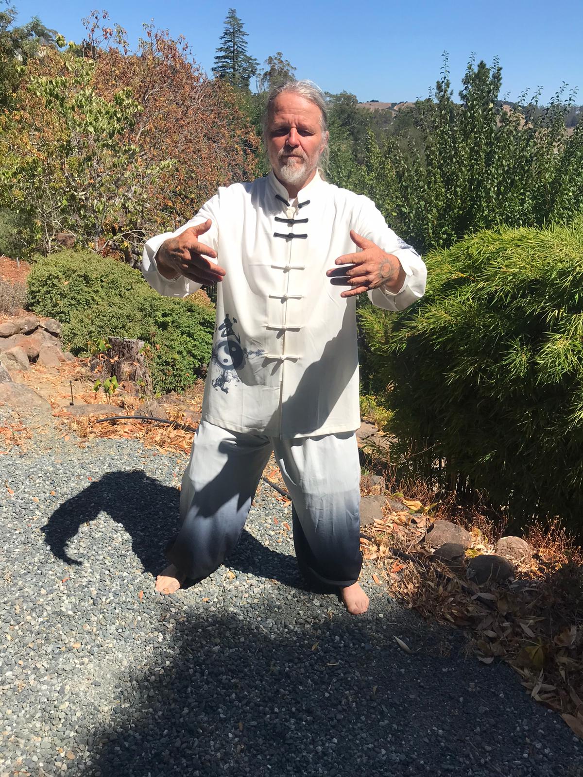 Healing Qigong Webinar - Image 6